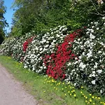 Gartenblick Lägenhet Westerstede