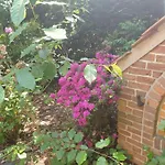 Gartenblick Westerstede