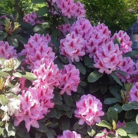 Διαμέρισμα Gartenblick