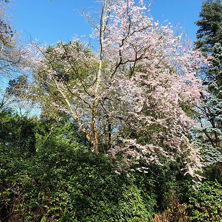 Gartenblick Westerstede