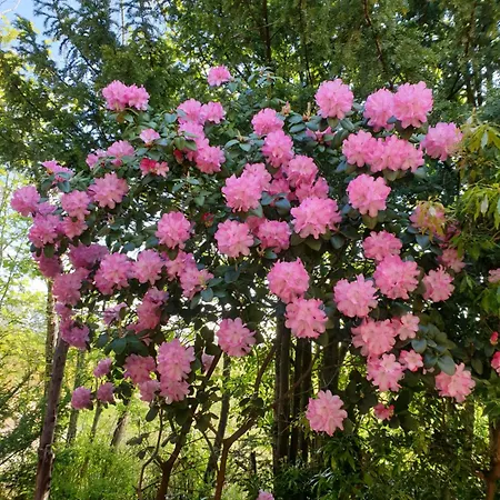 Gartenblick Apartamento