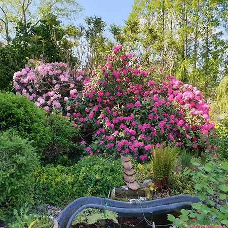 Διαμέρισμα Gartenblick