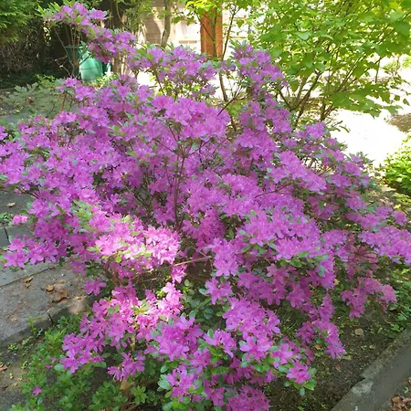 Gartenblick Апартаменты Вестерштеде