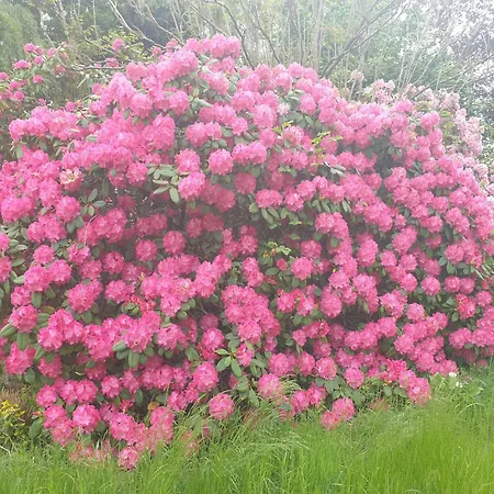 Διαμέρισμα Gartenblick Westerstede
