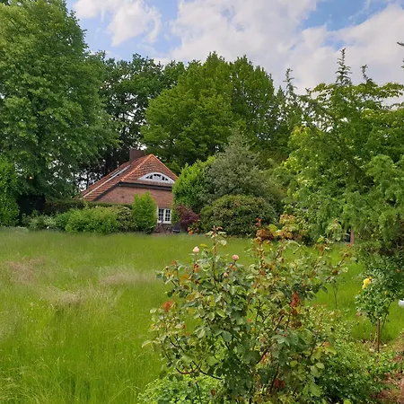 Gartenblick *