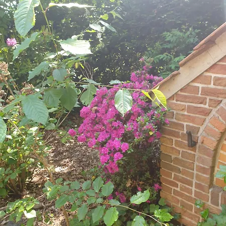 Gartenblick Вестерштеде