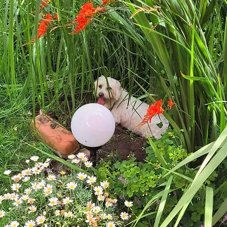 Апартаменты Gartenblick Вестерштеде